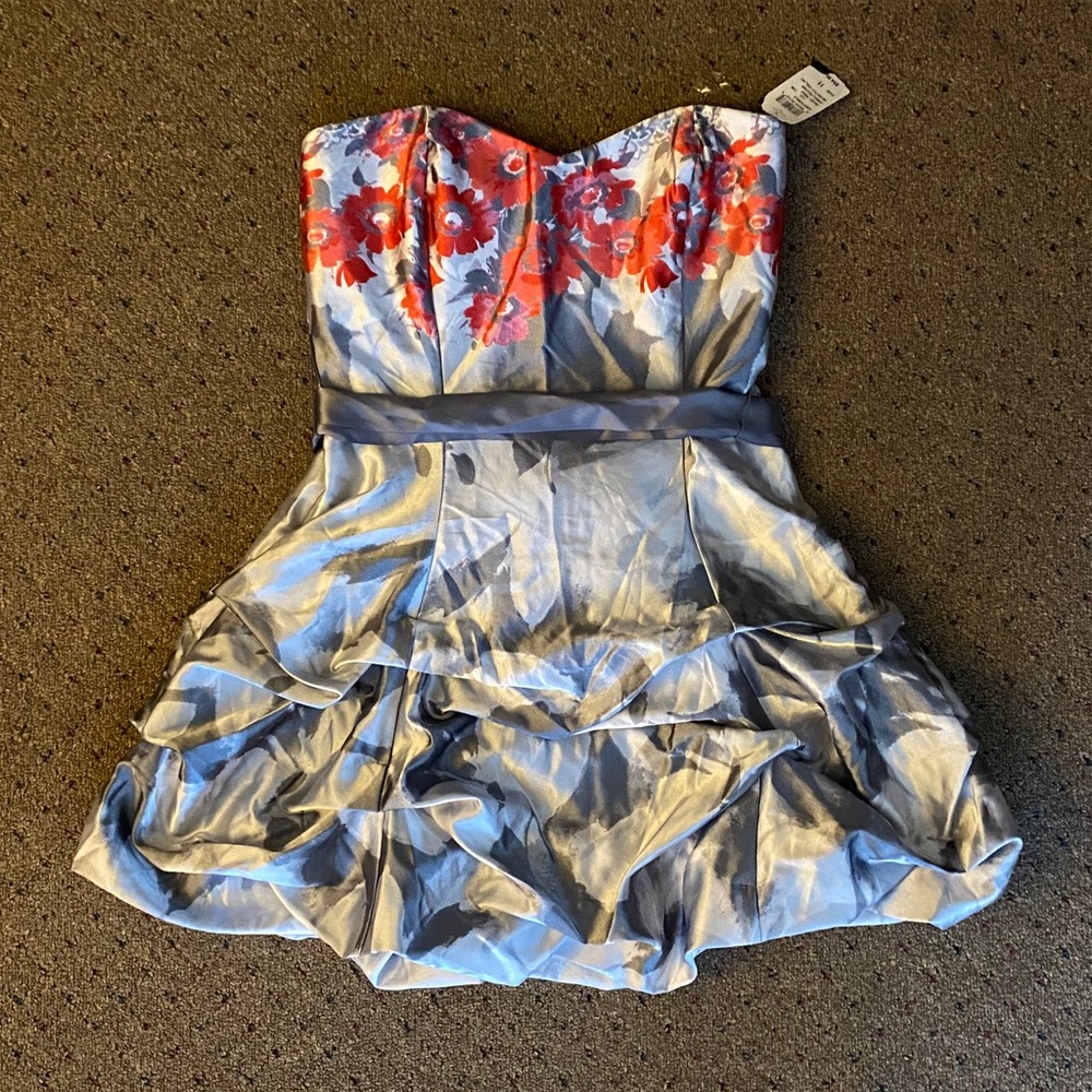NWT Silver&Red “Prom” Dress